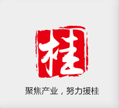 聚焦產(chǎn)業(yè)，努力援桂